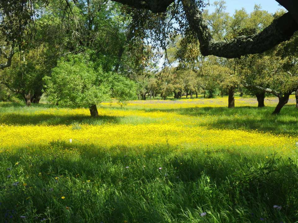 GORANDO - Récit de voyage à moto - Espagne-Portugal