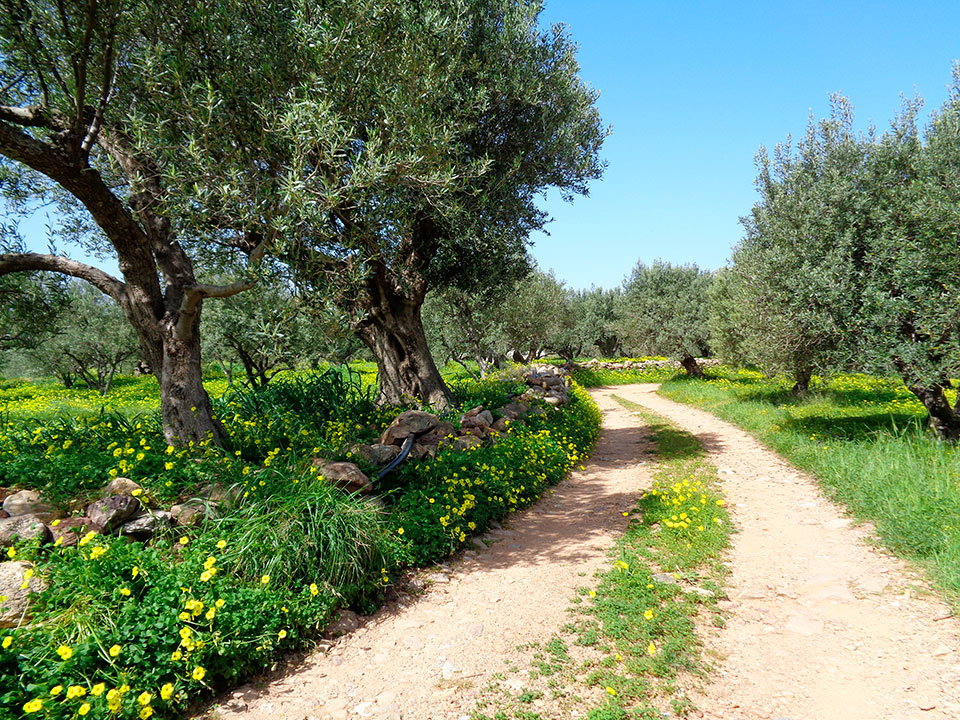 GORANDO - Récit de voyage à moto - Espagne-Portugal