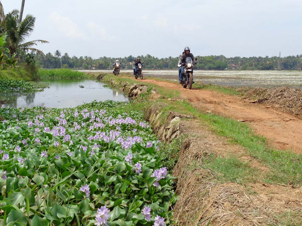 GORANDO - Récit de voyage à moto - Inde