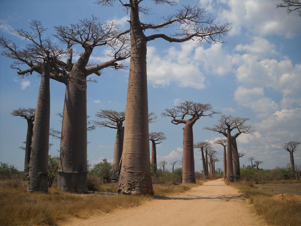 GORANDO - Récit de voyage à moto - Madagascar