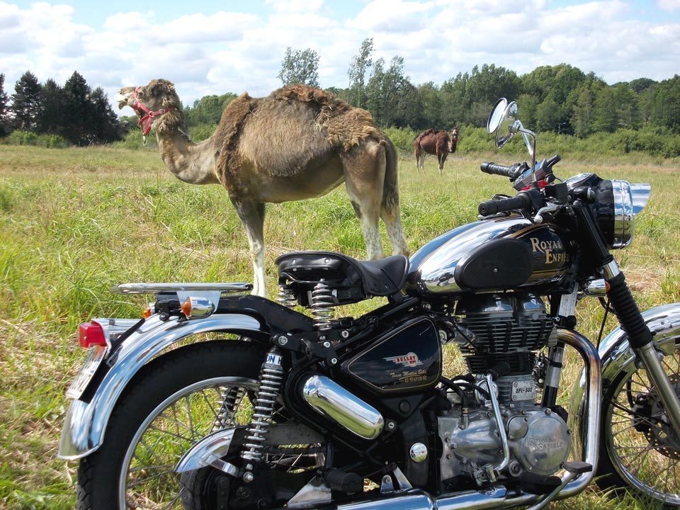 GORANDO - Récit de voyage à moto - Morbihan