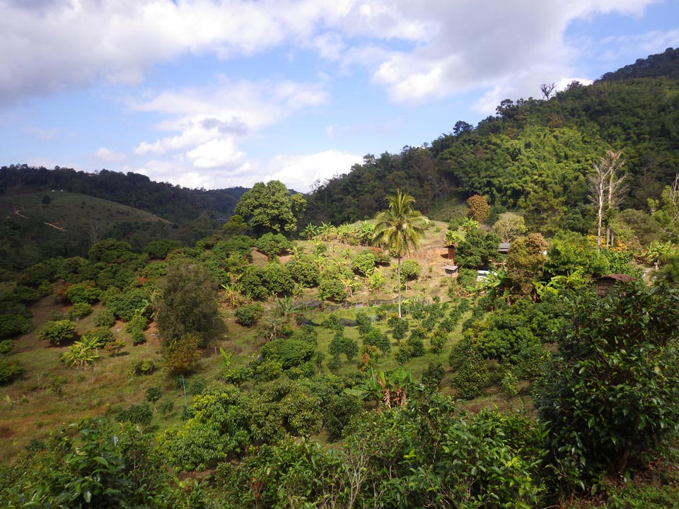 GORANDO - Récit de voyage à moto - Thaïlande